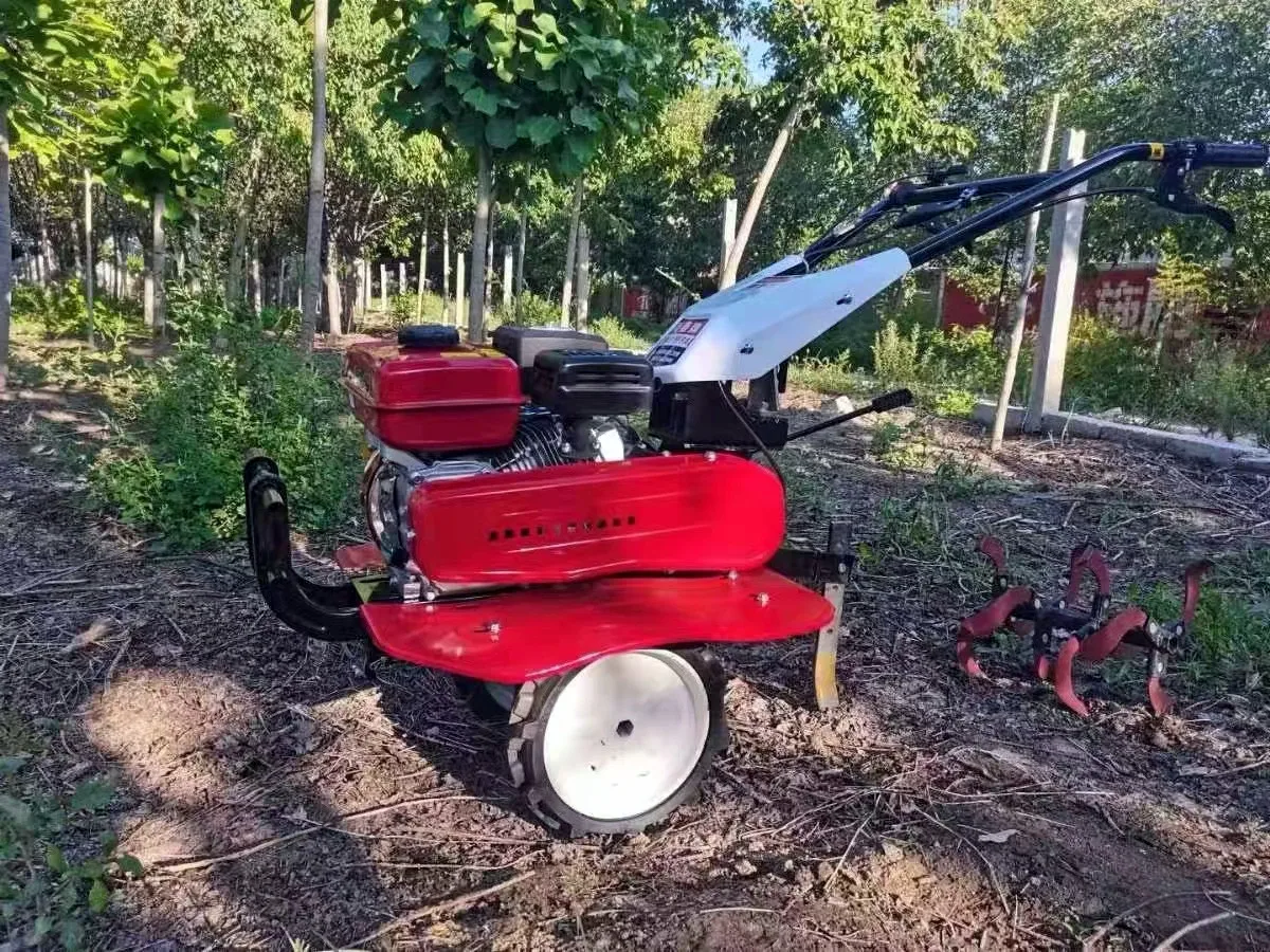 Organic Farming In Agriculture - Offerta Speciale: Miglior Motozappa per Agricoltura,
