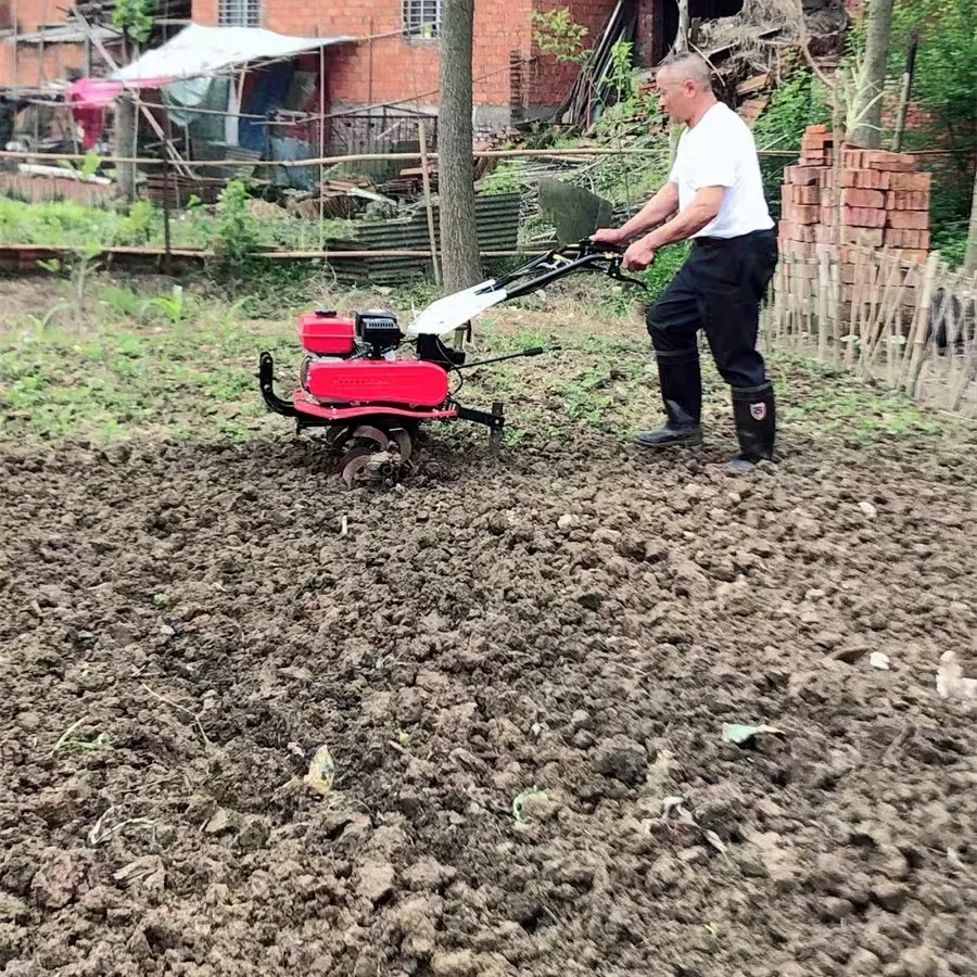 Offerta Speciale: Miglior Moto - Organic Farming In Agriculture recensione e prezzo