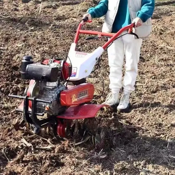 Offerta Speciale: Miglior Moto - Organic Farming In Agriculture recensione e prezzo